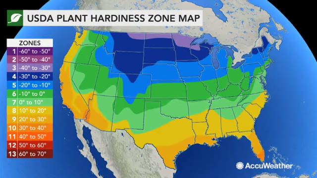 Knowing which planting zone you live in goes a long way toward maintaining a successful, long-lasting garden based on your location's climate and environment.