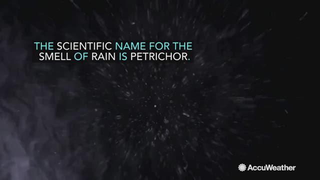 Do you ever wonder what causes the pleasant smell of rain? The rain smell's actual name is petrichor, coined by two Australian scientists in the 1960s. 