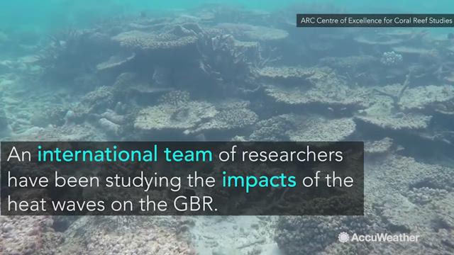 A three-year marine heatwave extending from June 2014 to May 2017 severely damaged coral reefs around the globe. A recent study further analyzed the impact on the Great Barrier Reef.
