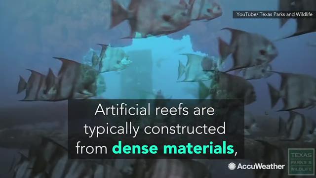 An artificial reef is a human-made structure that may mimic some of the characteristics of a natural reef. Planned artificial reefs can have numerous social and environmental benefits.