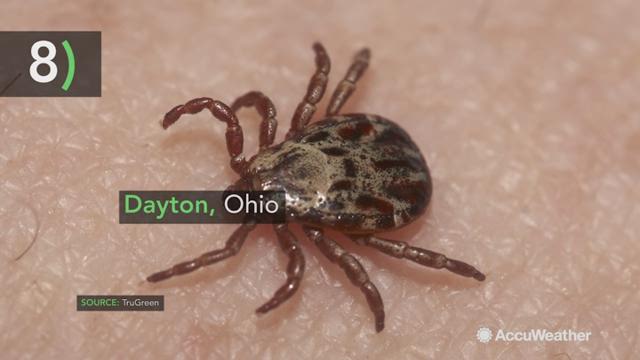 TruGreen has announced the top 10 cities in the United States that are most likely to be bothered by ticks. Does your city make the list?
