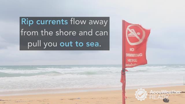 Before you head out to the beach this summer, be on the lookout for these dangers lurking in the water and on land.