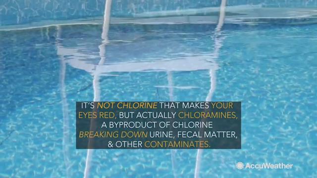 Maybe you pee in the pool because you don't want to walk to the bathroom or because you think 'everyone else is doing it.'